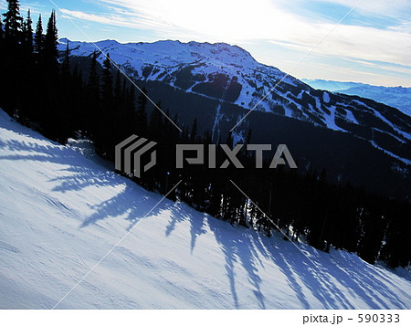 Whistler　Mountain 590333