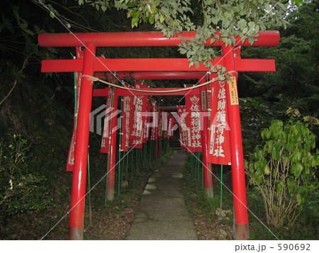 佐助稲荷の鳥居 590692