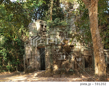 木漏れ日差すタプローム遺跡 木漏れ日差すタプローム遺跡 591202