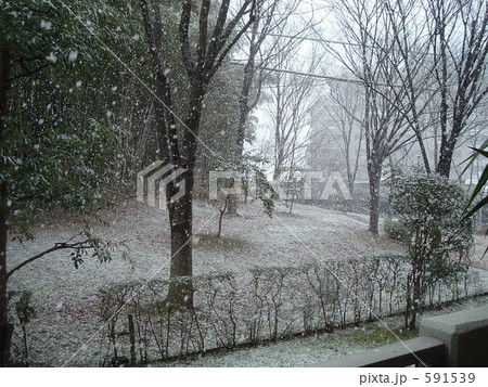 ベランダ越しの降雪 591539