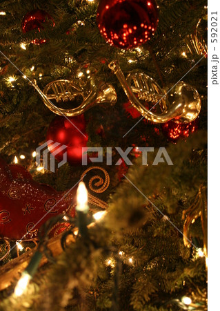 クリスマスツリーアップ 592021