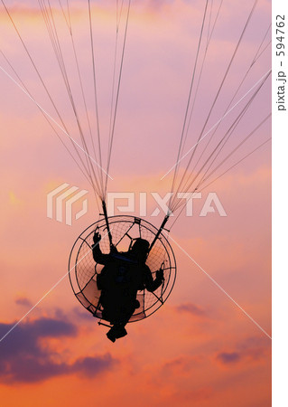 鳥になれたら 鳥になれたら 594762