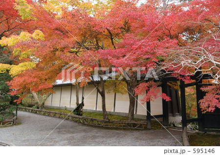 京都・二尊院-6 595146