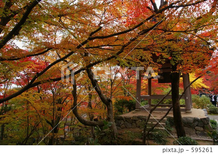 京都・常寂光寺-4 595261