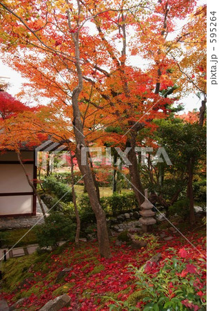 京都・常寂光寺-2 595264
