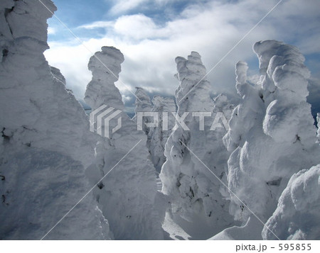 樹氷 樹氷 595855