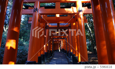 伏見稲荷神社 596818