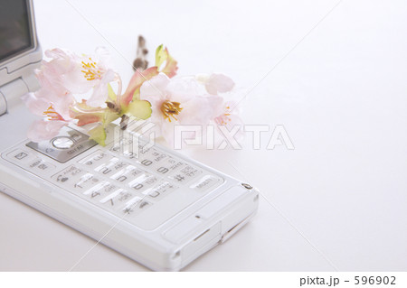 桜と　携帯 596902