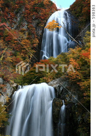 秋の安の滝 598363