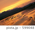 黄金色に輝く四万十川 599048