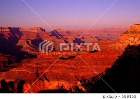 燃える大地 599159