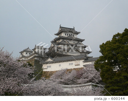 姫路城と桜 600144