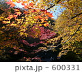 3色の紅葉 600331