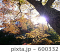 伊香保の秋 600332
