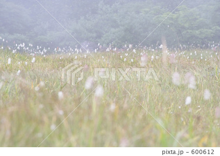 妙高山長助池 600612