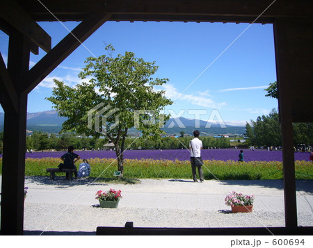 富良野の印象 600694