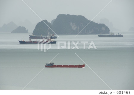 ハロン湾早朝の景色 601463