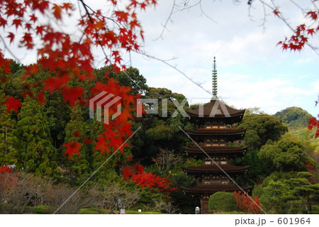 秋の紅葉と瑠璃光寺の五重塔 601964