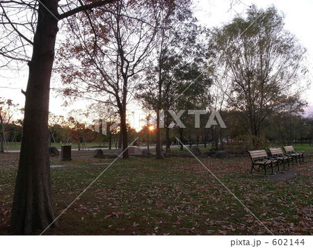 夕暮れの公園 602144