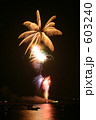 花火 603240