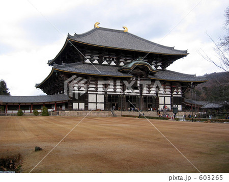 東大寺 603265