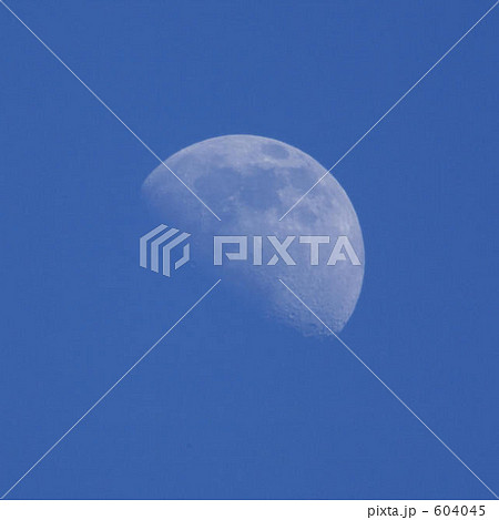 昼間の月 604045