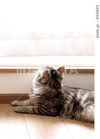 風の音...? 604605