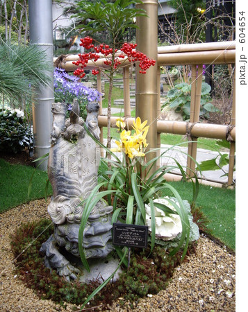 逆立ちの狛犬 604654