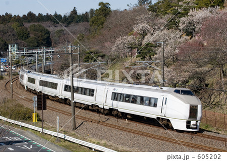 スーパーひたちと偕楽園の梅 605202