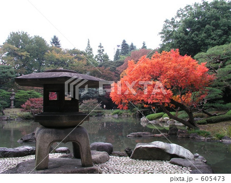 旧古河庭園の紅葉と灯篭 旧古河庭園の紅葉と灯篭 605473