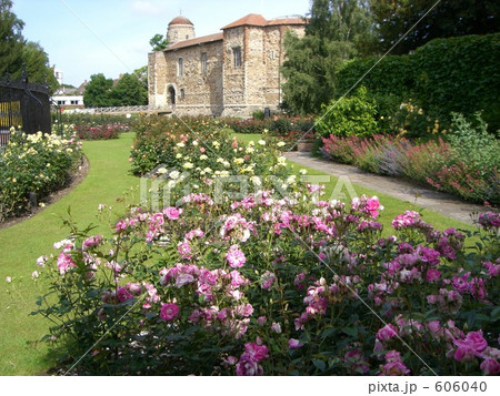 城とバラ 城とバラ 606040