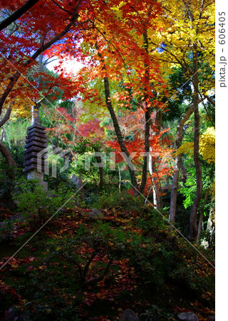 京都　常寂光寺の紅葉 606405