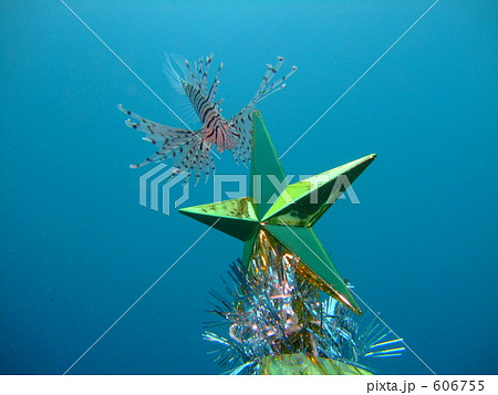 海中のクリスマス 606755