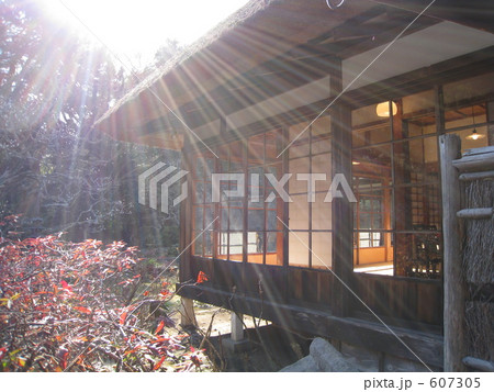 浄智寺の逆光 607305