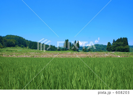 十日町市の田園風景 十日町市の田園風景 608203