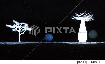 夜のオブジェ 608918