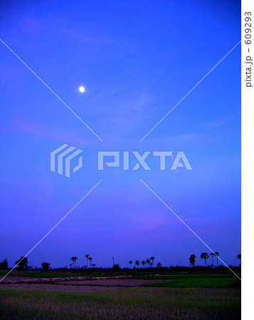 カンボジアの月夜 609293