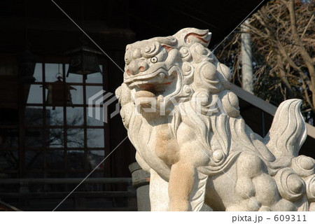 宇都宮 二荒山神社の狛犬 宇都宮 二荒山神社の狛犬 609311