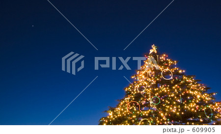 夜のクリスマスツリー 609905