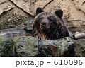クマの水浴び(3) クマの水浴び(3) 610096