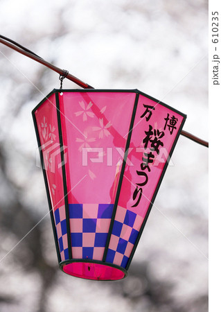 お花見提灯 お花見提灯 610235