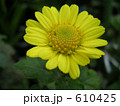 610425