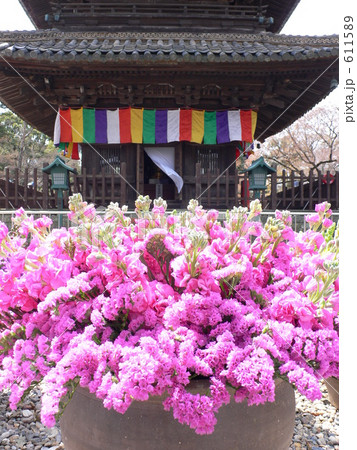 華やかな春の一日 華やかな春の一日 611589