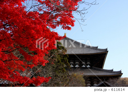 東大寺大仏殿と紅葉 611614