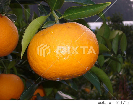 611715