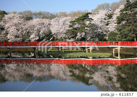 岩槻城址公園のやつはし 611857