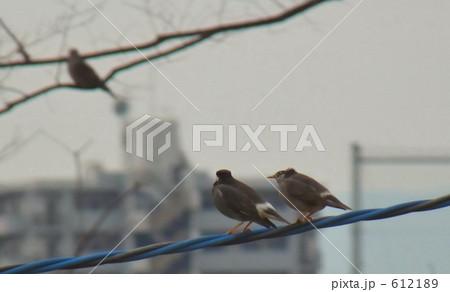 邪魔するなよ 612189