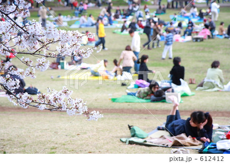 お花見を楽しむ人々 お花見を楽しむ人々 612412