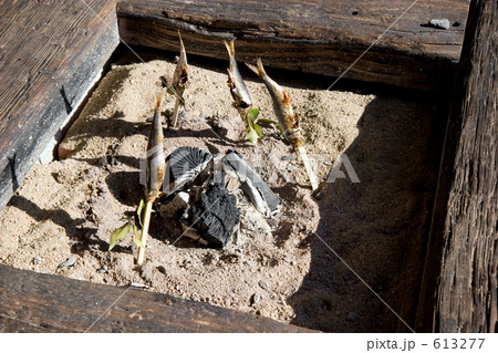 柊鰯を炭火で焼く　２ 613277