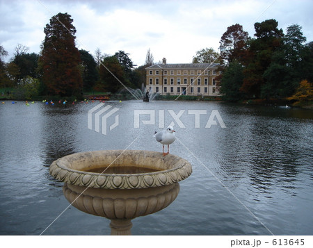 Bird in Kew Gardens 613645